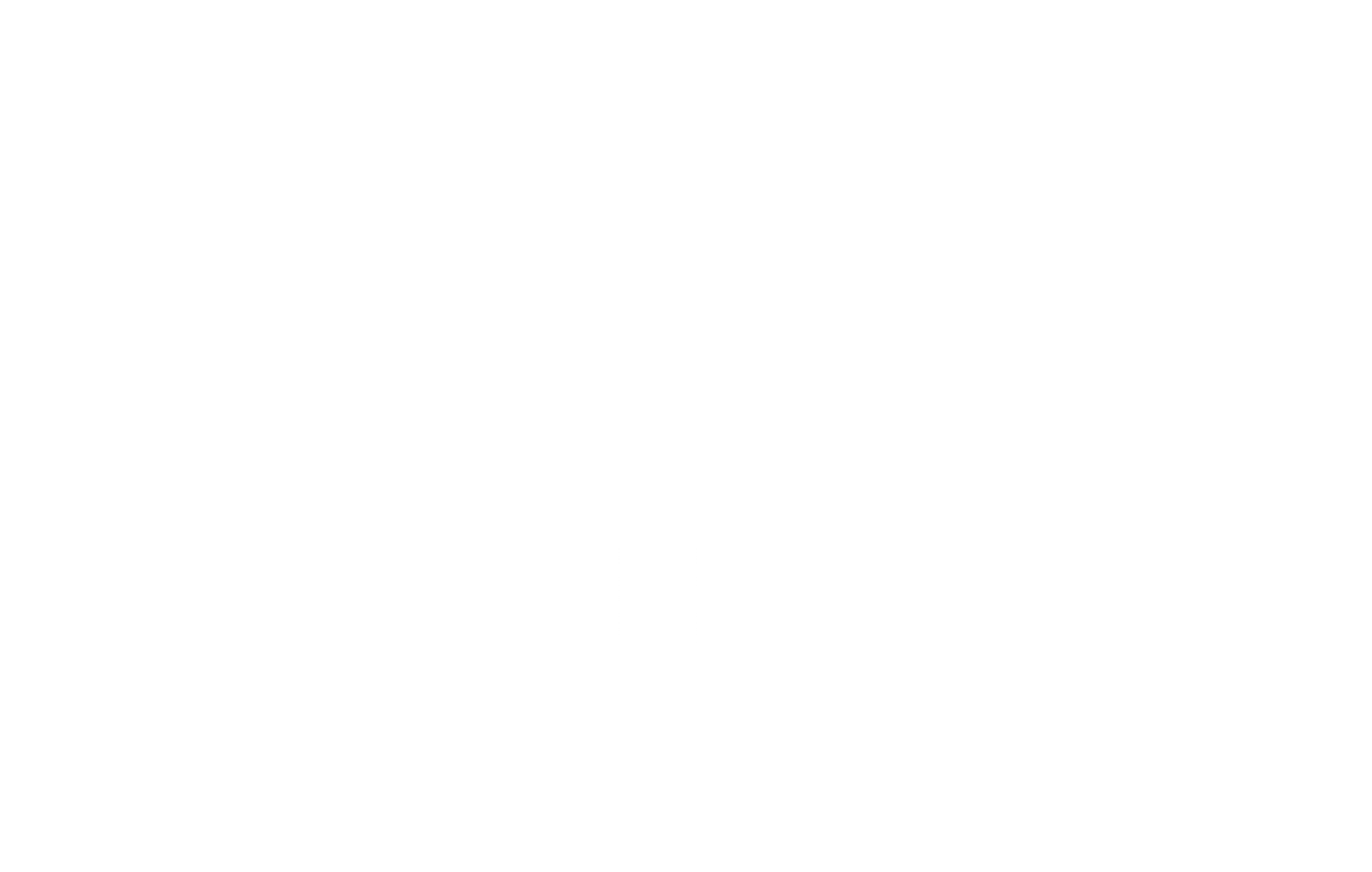 RTSE Main Site Logo White