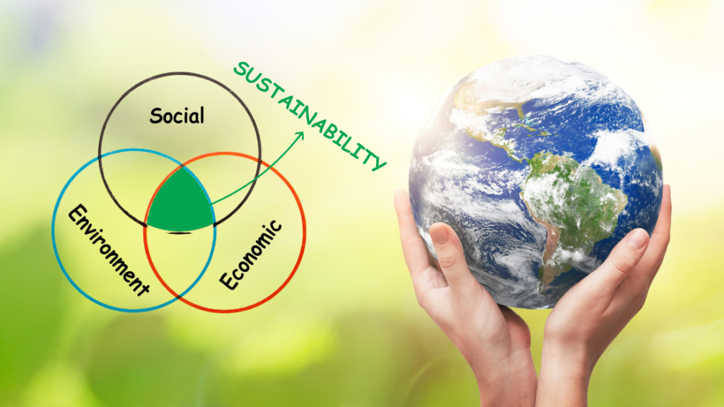 Impact | Social, Environment & Economic Sustainability.