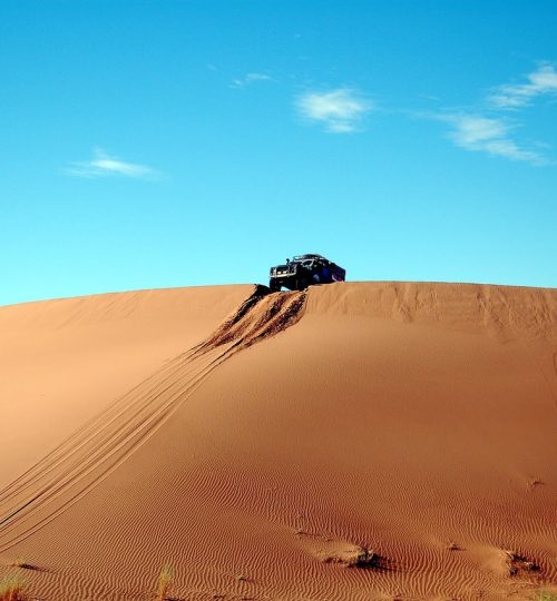 Action on Top of the Dune Sports Action
